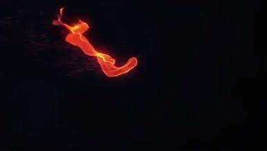 光效演绎奔跑的马LOGO展示视频的预览图